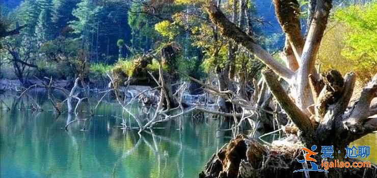 【湖北夏天有什么好玩的】2019湖北夏天哪里好玩，湖北哪里好玩又便宜？