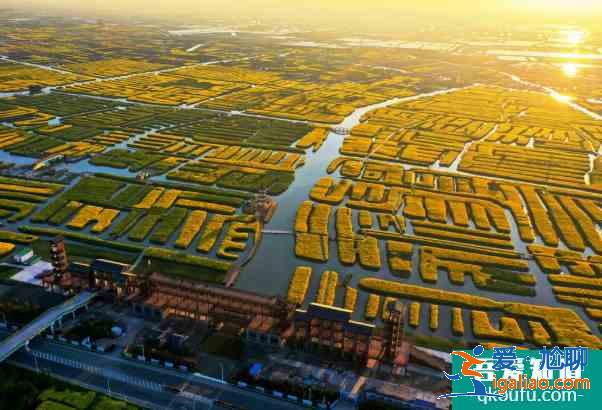2021泰州秋雪湖郁金香花展時(shí)間及活動(dòng)詳情？