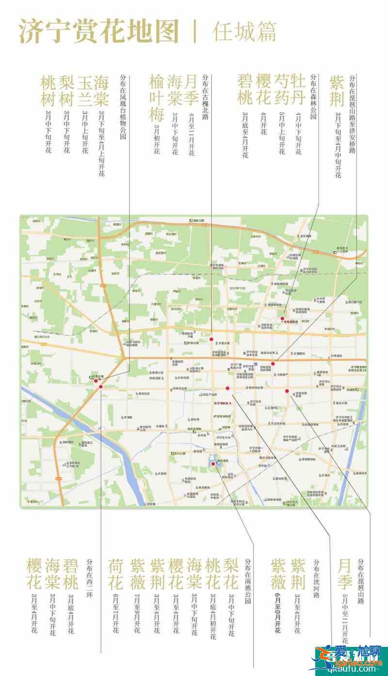 2021濟(jì)寧最新賞花地圖 濟(jì)寧賞花去哪里？