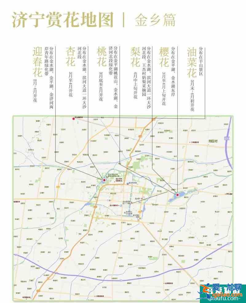 2021濟(jì)寧最新賞花地圖 濟(jì)寧賞花去哪里？