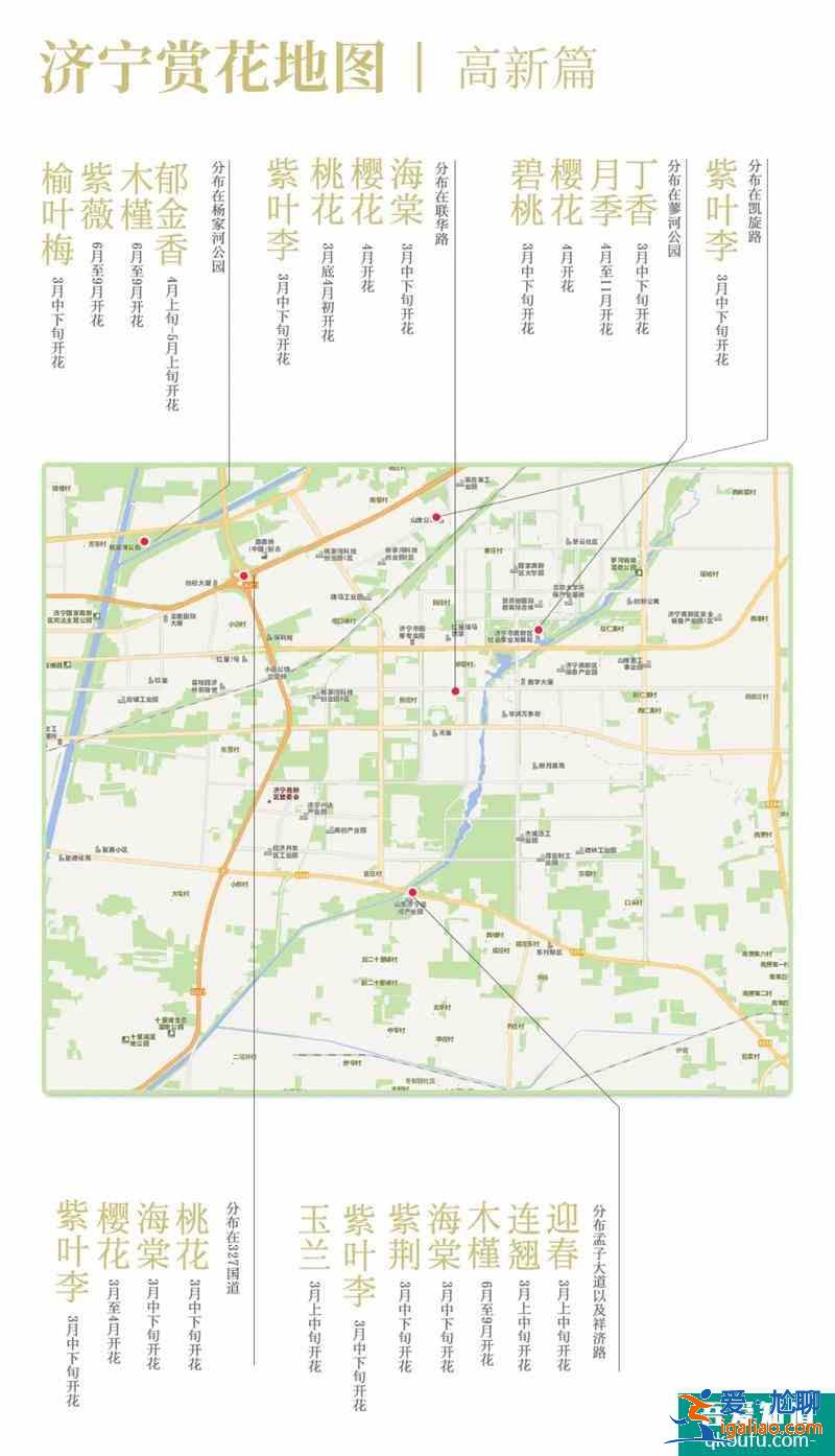 2021濟(jì)寧最新賞花地圖 濟(jì)寧賞花去哪里？