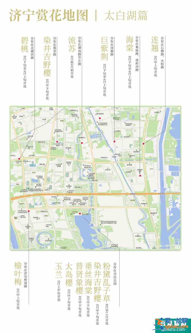 2021濟(jì)寧最新賞花地圖 濟(jì)寧賞花去哪里？