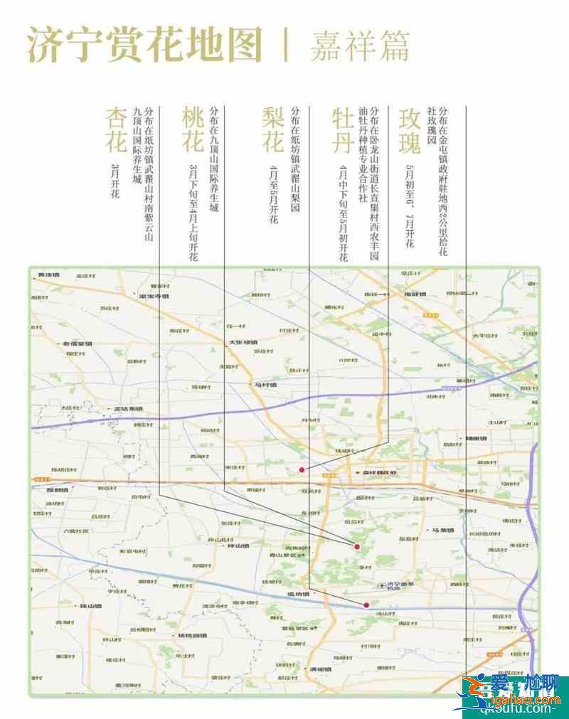 2021濟(jì)寧最新賞花地圖 濟(jì)寧賞花去哪里？