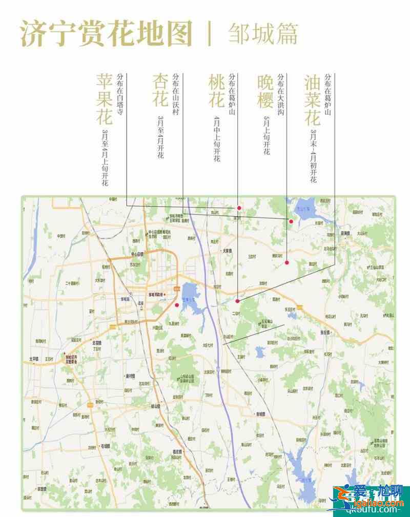 2021濟(jì)寧最新賞花地圖 濟(jì)寧賞花去哪里？