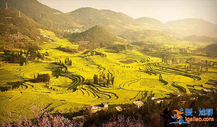 羅平旅游必去的地方，羅平必玩美景top5？