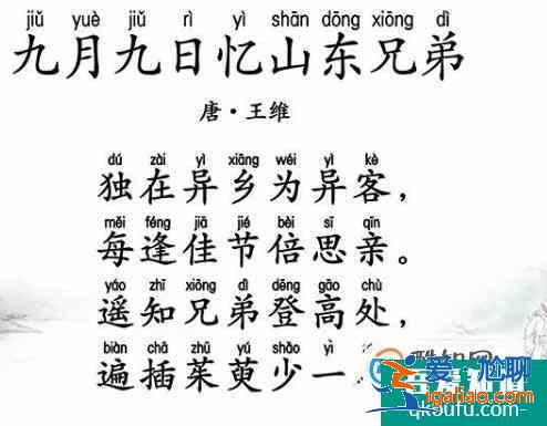 重陽節(jié)的詩句？