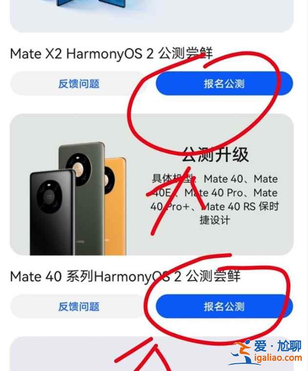 花粉俱樂(lè)部怎么更新成鴻蒙版？