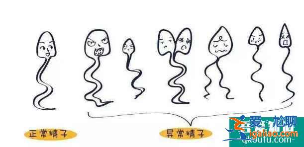 輸卵管堵塞赴泰做試管嬰兒費(fèi)用？？