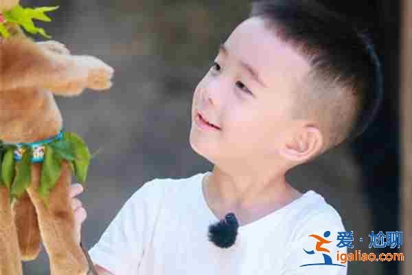 上海醫(yī)院那個助孕最好-怎么知道靠不靠譜？