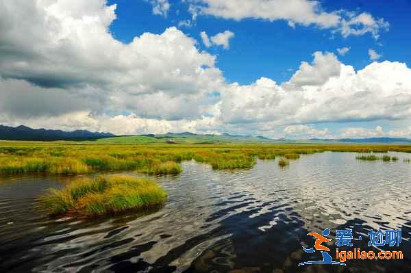 【甘南旅游景點(diǎn)推薦】甘南有什么好玩的，甘南必游景點(diǎn)TOP6？