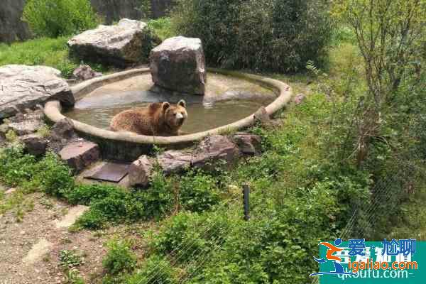 2021無錫動(dòng)物園門票多少錢一張 無錫動(dòng)物園春之童趣季時(shí)間？