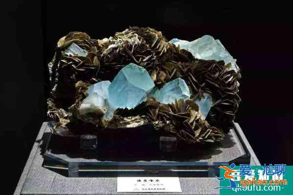 湖北地質(zhì)博物館開放時(shí)間 附免費(fèi)門票預(yù)約方式？