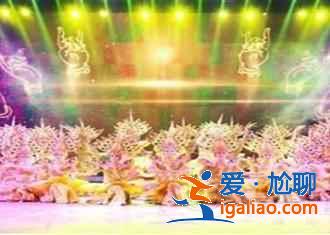 開封斗雞在哪看，開封斗雞比賽？