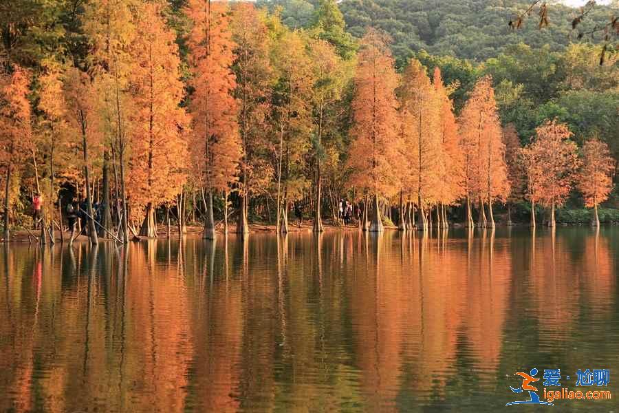 羊城八景是哪八景，羊城必去的八個(gè)景點(diǎn)是哪里？