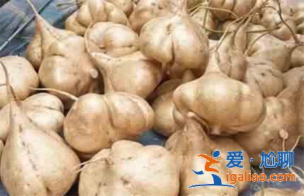 哪些食物可以調(diào)理脾胃？？