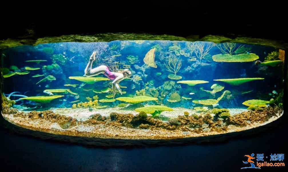 【門票】南昌萬達海洋樂園門票多少錢，南昌萬達海洋樂園門票價格？