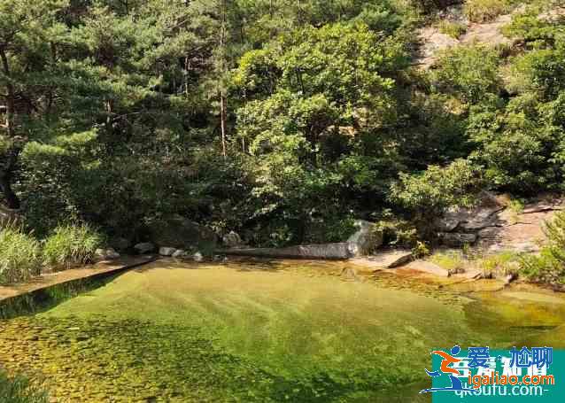 2021清明節(jié)昆崳山國(guó)家森林公園交通管控及游路管制信息？