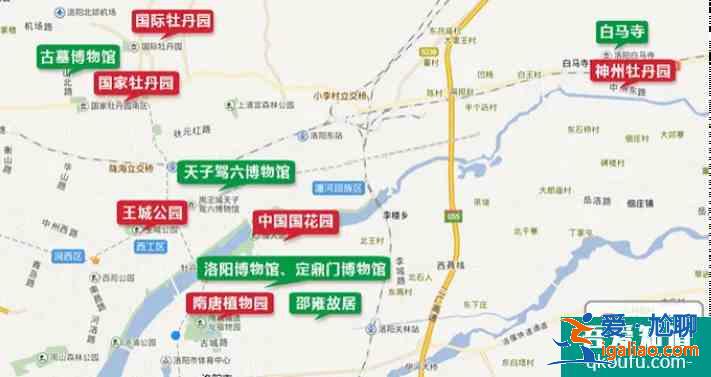 2021洛陽牡丹花哪里最好看？