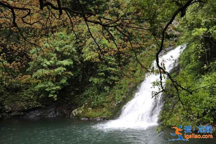 井岡山景點(diǎn)有哪些,井岡山有哪些必看景點(diǎn),井岡山旅游攻略? 井岡山景點(diǎn)有哪些,井岡山有哪些必看景點(diǎn),井岡山旅游攻略?