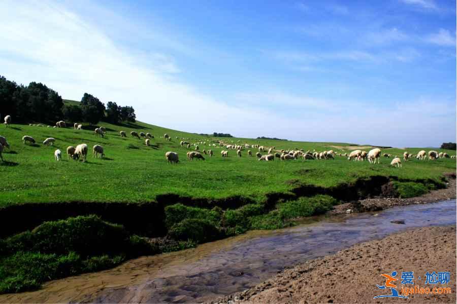 內(nèi)蒙草原旅游哪里好，內(nèi)蒙古哪里的草原美麗又好玩？