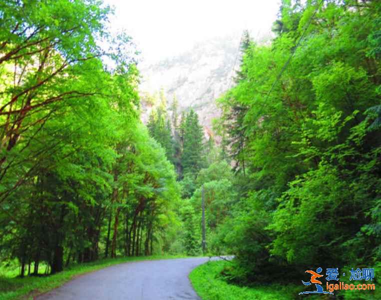 【蘭州周邊游】蘭州周邊景點推薦，蘭州周邊感受大漠風(fēng)光？