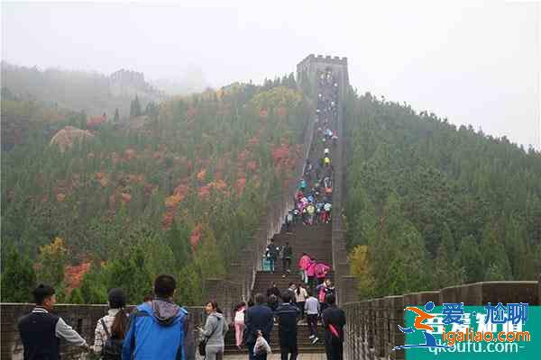 龍口南山景區(qū)2021清明節(jié)活動(dòng)匯總？