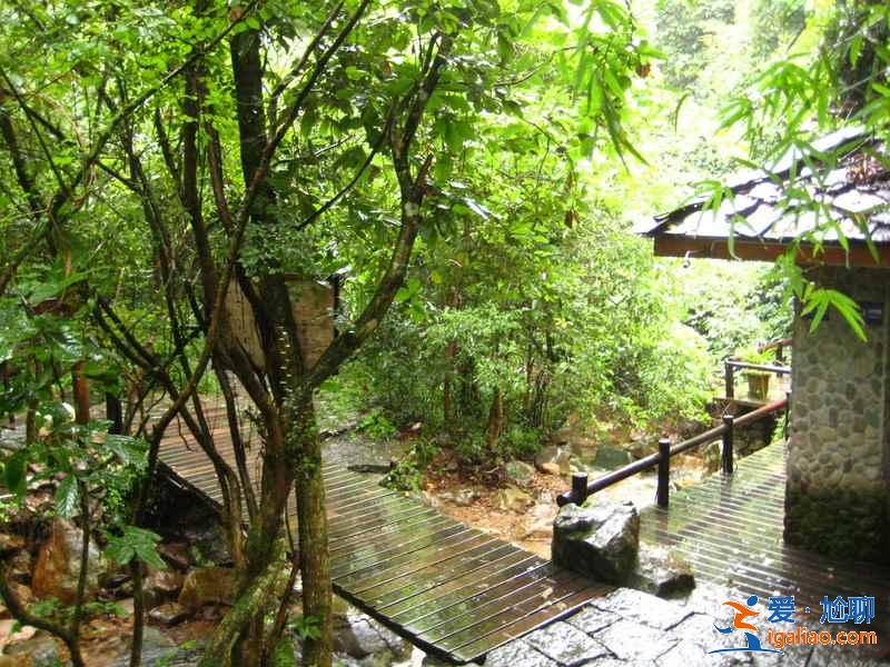 千島湖森林氧吧怎么去,千島湖森林氧吧怎么坐車,千島湖森林氧吧交通攻略? 千島湖森林氧吧怎么去,千島湖森林氧吧怎么坐車,千島湖森林氧吧交通攻略?