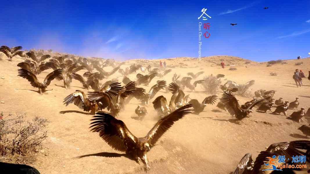 幾月去色達(dá)旅游好，什么時候去色達(dá)最好，色達(dá)最佳旅游季節(jié)？