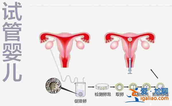 長春代生男孩子_目前一流的助孕科研團(tuán)隊？