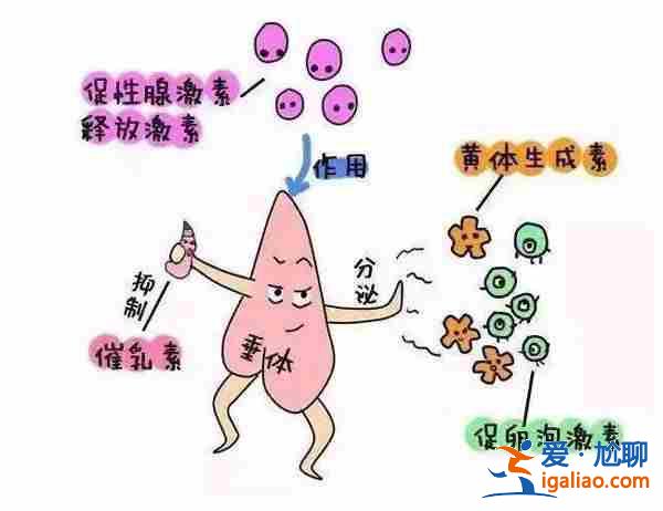 福州代懷生子，為什么支持助孕？
