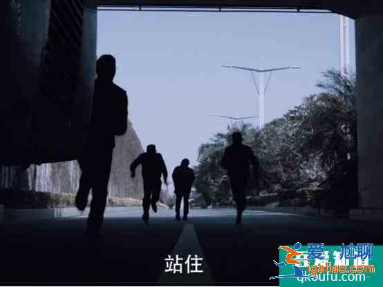 《白夜追兇》結(jié)局你看懂了嗎，最后為什么要吃掉寵物魚“老虎”？