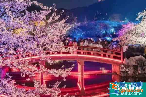 2021東湖櫻花園閉園通知 東湖櫻花園4月6日起閉園？