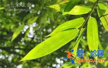 粽葉是什么葉子？？