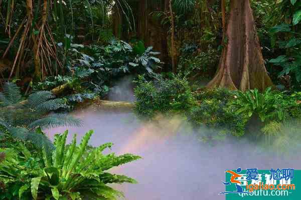 2021廣州華南植物園五一開放嗎 廣州華南植物園門票價格？