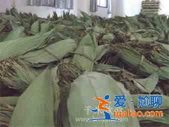 粽葉是什么葉子？？