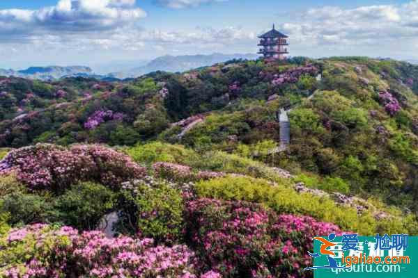 2021重慶五一賞花旅游去哪好？