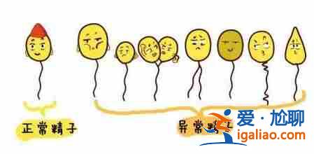 廣州有多少家生殖助孕_需要辦理哪些手續(xù)？