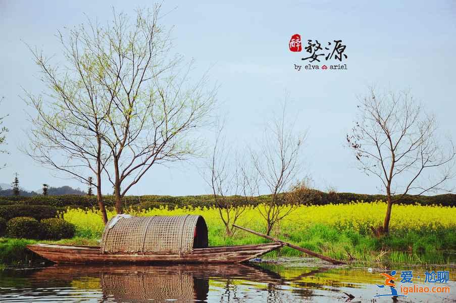 婺源月亮灣景區(qū),婺源月亮灣要門票嗎? 婺源月亮灣景區(qū),婺源月亮灣要門票嗎?