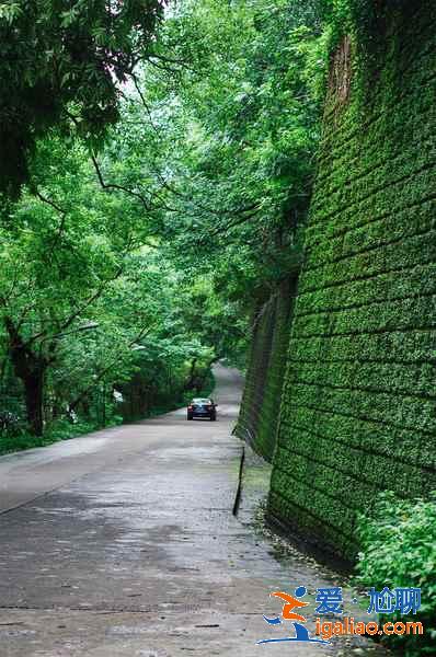 浙江大學哪個校區(qū)好看，浙江大學哪個校區(qū)風景好，浙江大學有幾個校區(qū)？