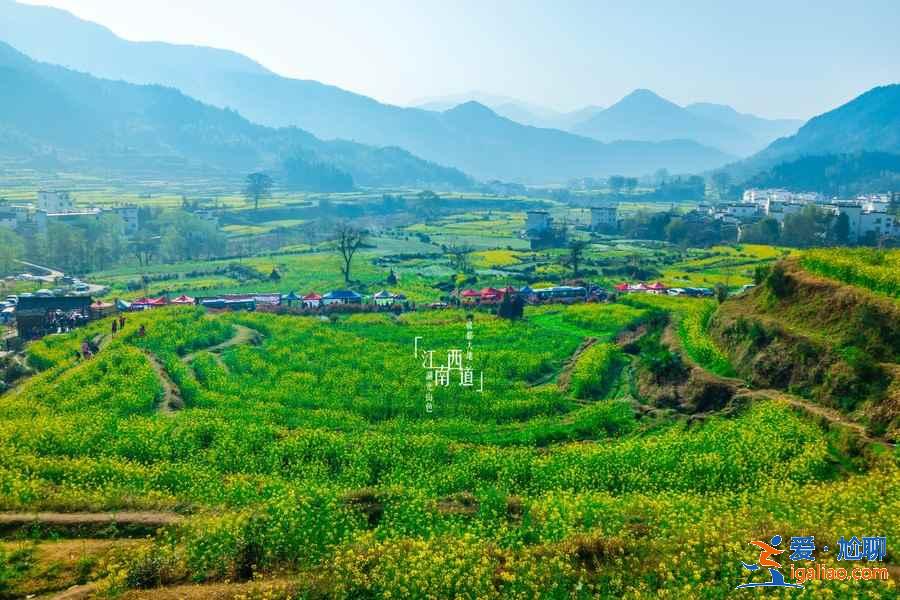 婺源江嶺旅游攻略，婺源江嶺怎么玩，婺源江嶺開(kāi)放時(shí)間？