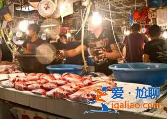 長灘島電話卡怎么購買，長灘島電話卡如何選擇，長灘島電話卡攻略？