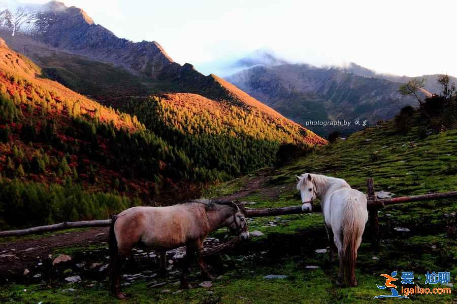 【四姑娘山最佳旅游時間】幾月去四姑娘山最好，四姑娘山好玩嗎？