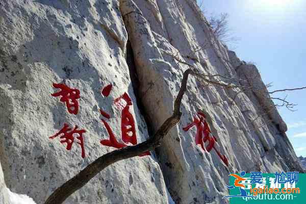 1月5日起嵩山景區(qū)宗教場(chǎng)所關(guān)閉,少林景區(qū)門票半價(jià)？