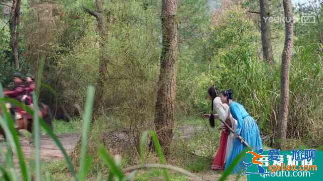 《暮白首》白首夫婦大婚當(dāng)日太虐心，凌虛閣遭剿滅，錯(cuò)在農(nóng)夫救蛇？