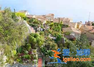 【普羅旺斯薰衣草】2019法國(guó)普羅旺斯薰衣草什么時(shí)候開，普羅旺斯薰衣草花期？