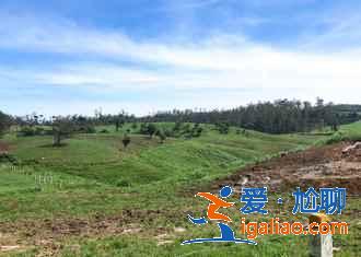 斯里蘭卡的五大必體驗，去斯里蘭卡有哪些必玩項目？