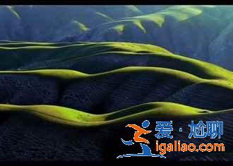 6月的新疆伊犁,無(wú)法描述的美? 6月的新疆伊犁,無(wú)法描述的美?