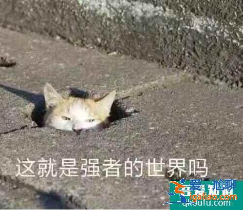 云頂之弈11.10版本最強(qiáng)喪尸法陣容推薦，云頂11.10強(qiáng)勢(shì)陣容攻略？