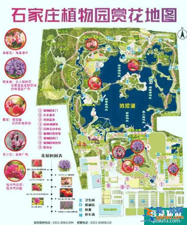 2021石家莊植物園郁金香什么時(shí)候開花？