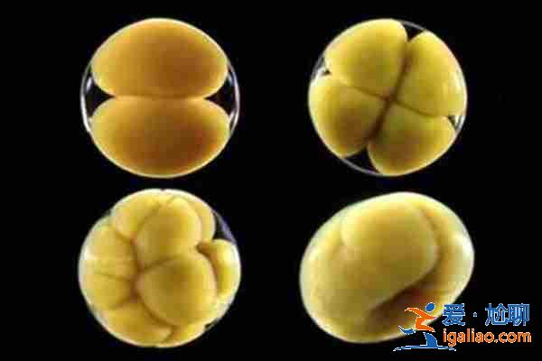 寧波代生男孩助孕（一次成功）？